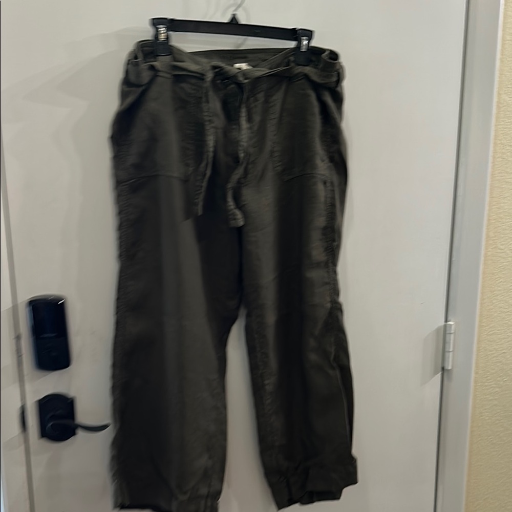 Caslon women’s  Dark Olive Cargo Pants
